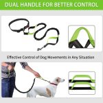Eilin Heavy Duty Large Pet Dog Leash Handle Strong Reflective Rope Elastic Bungee - Image 3