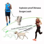 Eilin Heavy Duty Large Pet Dog Leash Handle Strong Reflective Rope Elastic Bungee - Image 4