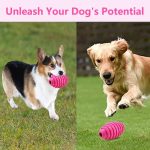 Eilin Grenade Pet Cat Dog Chewer Stuffed Toys Squeaky Aggressive - Image 6