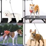 Eilin Pet Dog Grooming Restraint Loop Snap Wire Leash Cable Tabletops Adjustable - Image 7