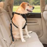 Eilin Pet Car Seat Belt Harness Push Button Safety Leash Small Large Dogs - Image 7