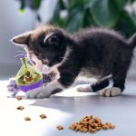 Eilin Cat Pet Feeder Tumbler Leaking Ball Pet Toys Slow Treat Food Dispensing Dispenser - Image 5
