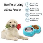 Eilin 2in1 Slow Feeder Dog Cat Pet Bowls Set Stainless Steel Food Water Portable Non-Skid Mat Double Puzzle - Image 8